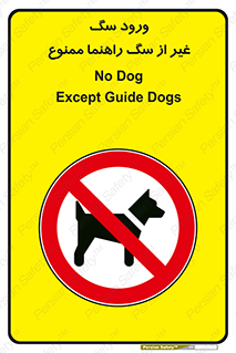 unauthorized , prohibited , cat , حیوانات , نگهبان , 