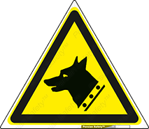 Dogs , Dog , محافظ , حیوان , 